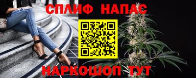 сатива Шахты